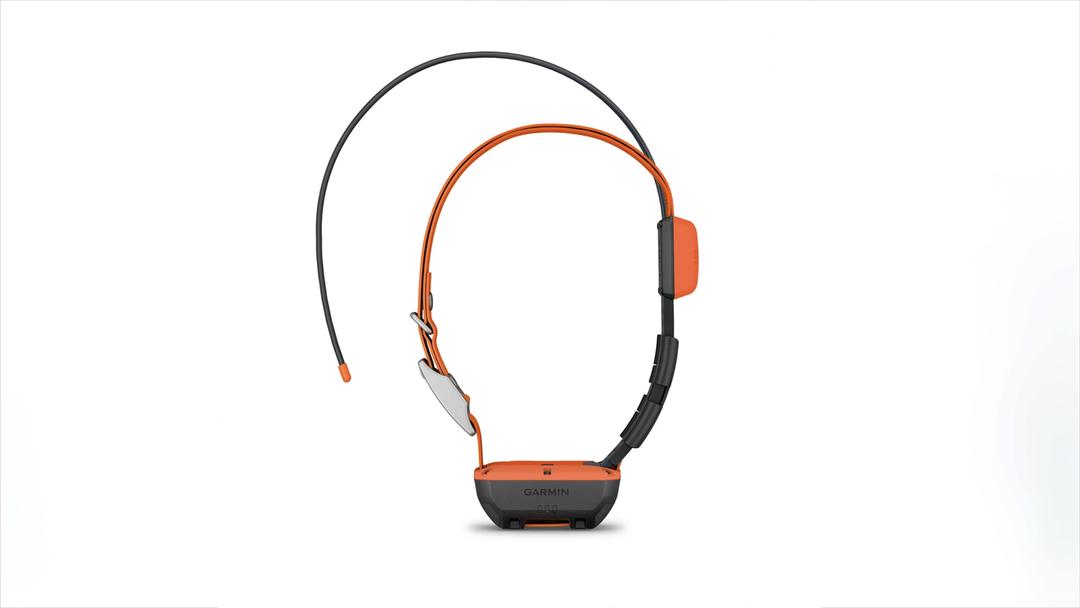 Bild von: GarminAlphaT20K-Hundehalsband